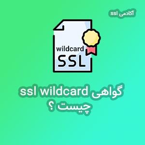 گواهینامه ssl wildcard چیست و چه کاربردی دارد؟